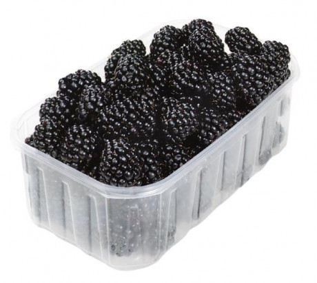 Brombeeren frisch ES  125-g-Tasse