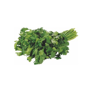 PetersilieBundGastroca.120g