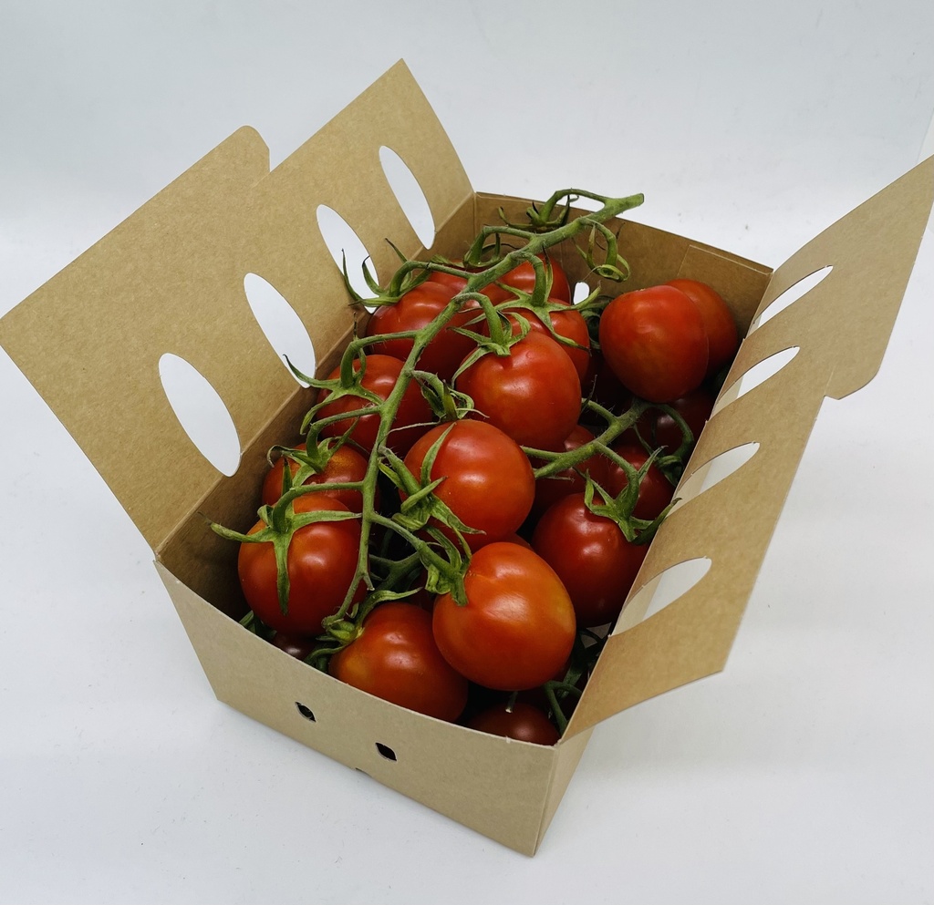 ECO Österreichische Tomaten Cherry "Lani" KLI, 500g