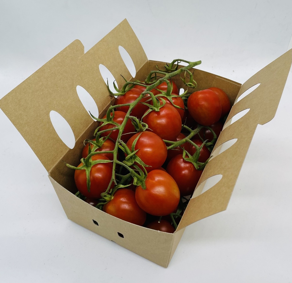 ECO Tomaten Cherry "Lani" KLI, 500g