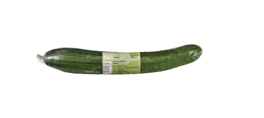 ECO Bio Gurken