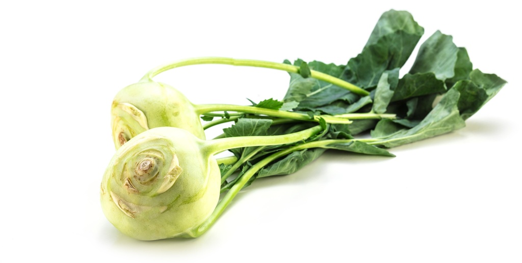 ECO Kohlrabi KL. 1 per STK HK AT