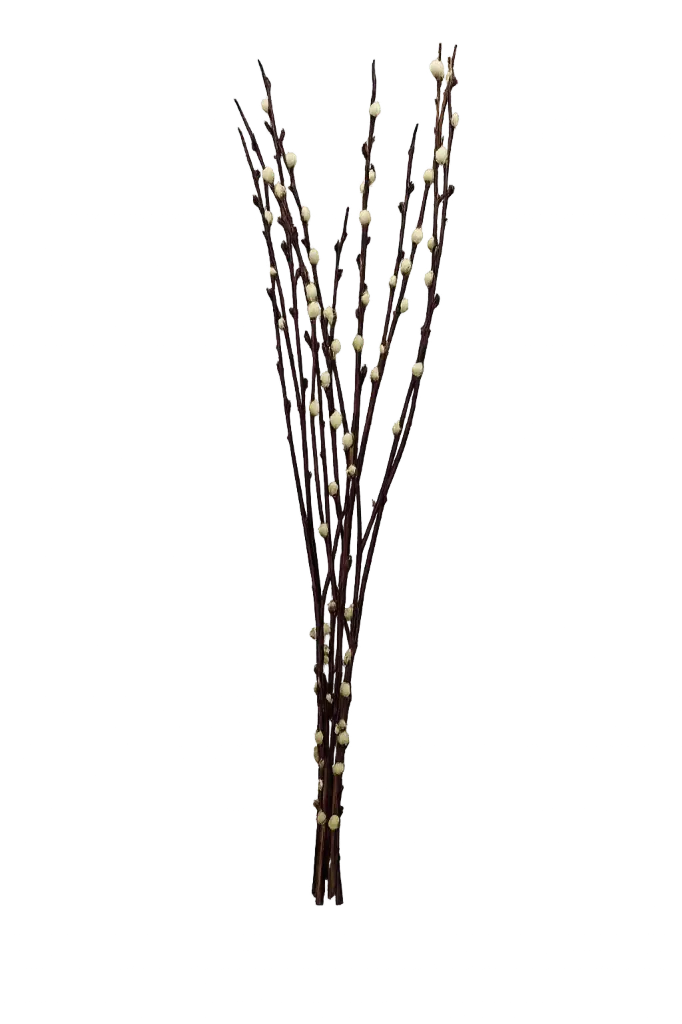 Palmkätzchen ca. 85-90cm Bund (geeignet für Tischvasen)(ca. 6 Zweige)