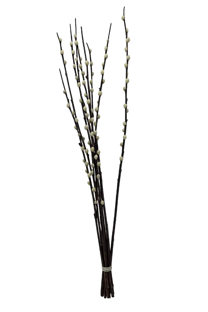 Palmkätzchen ca. 90- 95 cm Bund (geeignet für Bodenvasen) (ca. 6 Zweige)