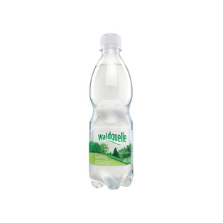 Waldquelle PET 0,5l, spritzig