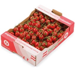 [893537] Tomaten Cherry "Ciara" KLI, 3KG