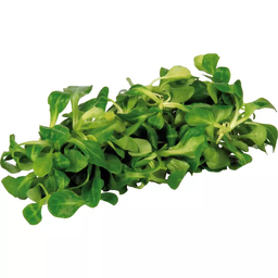 [777.166] Vogerlsalat750g