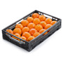 [815541] Bio Orangen KL. 2 per KG