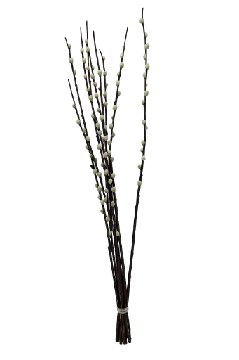 Palmkätzchen ca. 90- 95 cm Bund (geeignet für Bodenvasen) (ca. 6 Zweige)