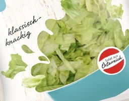 [832.062] Eisbergsalat geschnitten 1200g